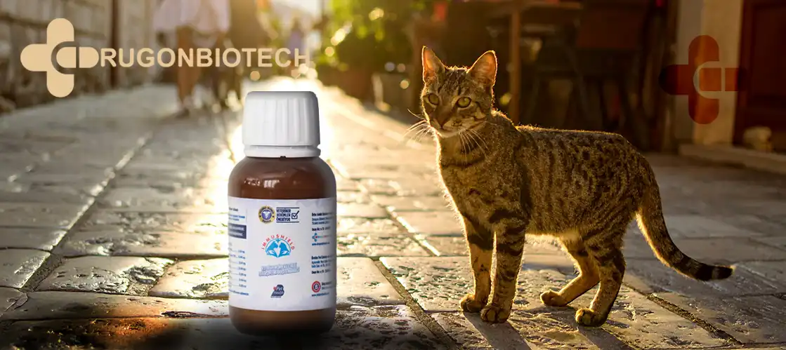 ImmuShield FIP Koruyucu Ürünü