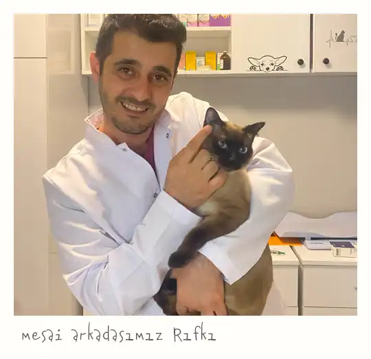 Vega Veteriner Kliniği